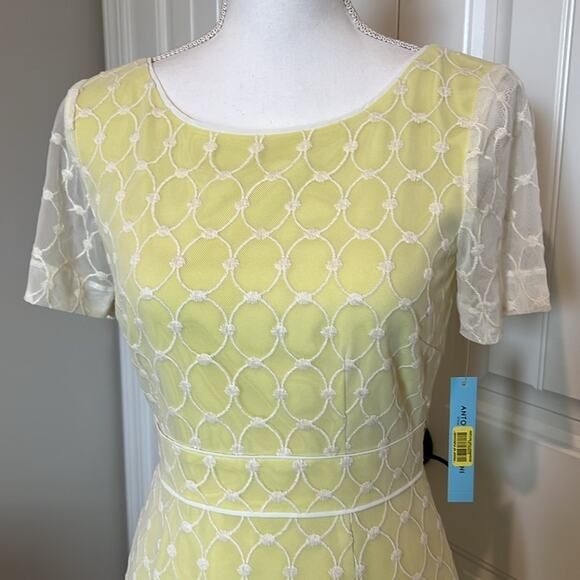NWT $169 Antonio Melani Alexa Dress Garden lace 2 XS Yellow wedding cocktail NEW - Picture 2 of 16